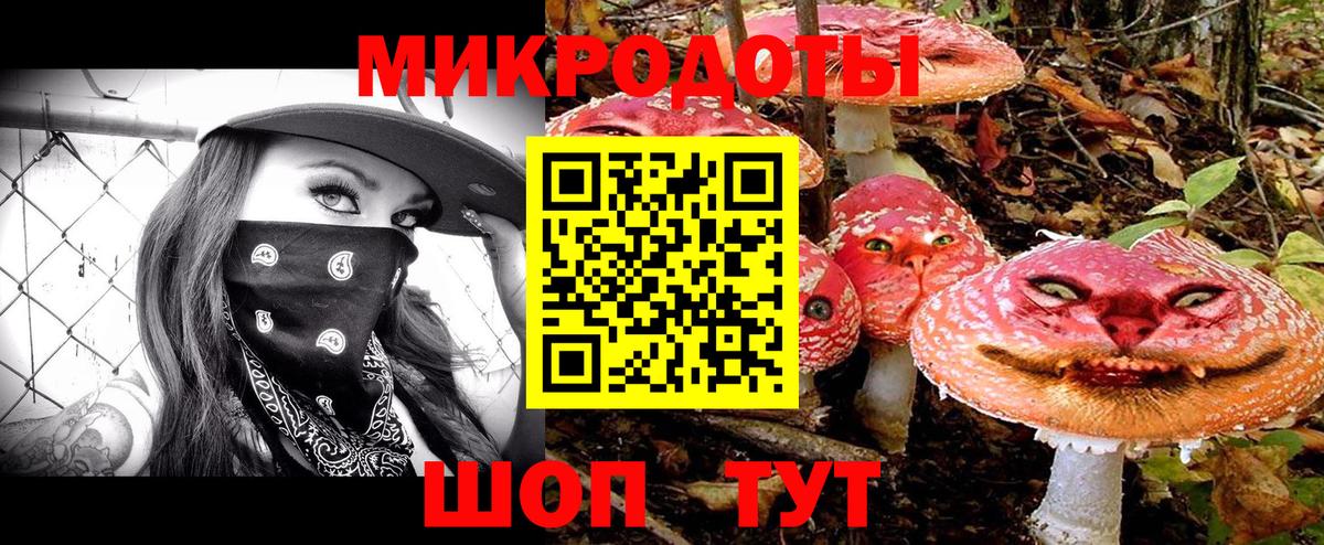 Псилоцибиновые грибы GOLDEN TEACHER Саров