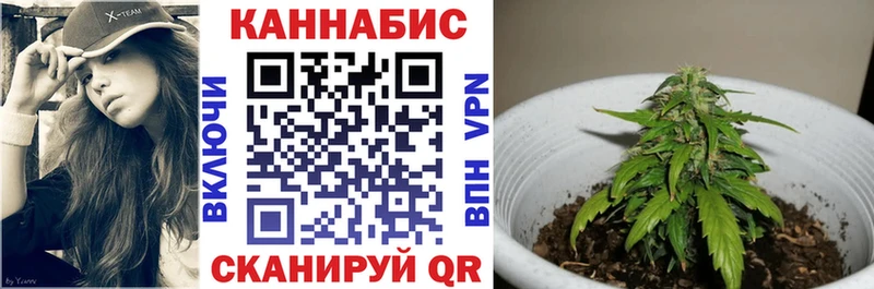 гидра ссылка  Саров  Бошки марихуана THC 21%  где купить наркотик 